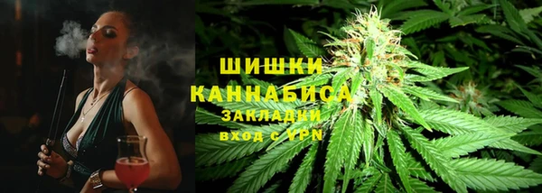 амф Горнозаводск