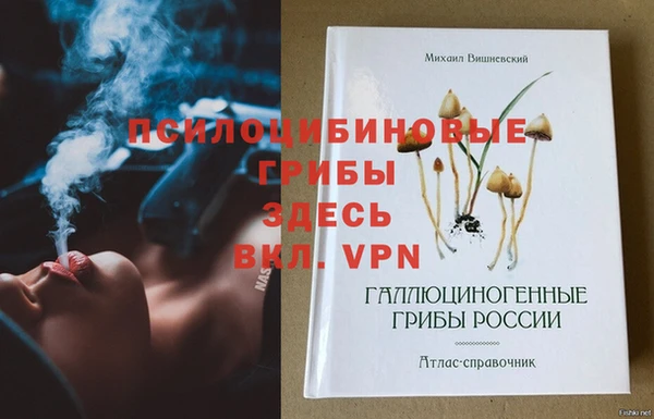 амф Горнозаводск