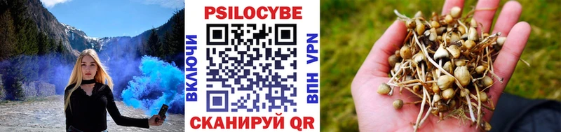Псилоцибиновые грибы ЛСД  Новочеркасск 